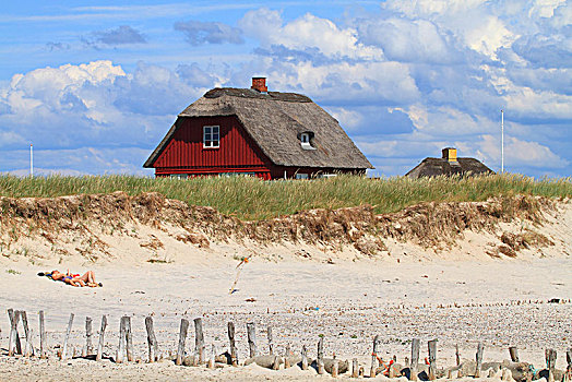 丹麦,海滩,房子,后面,沙丘