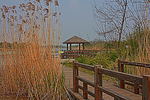 苏州太湖湿地公园