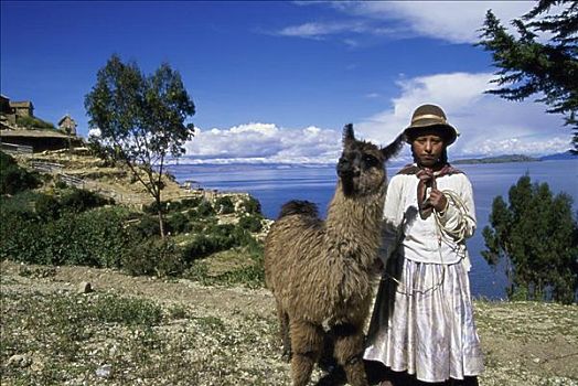 岛,提提卡卡湖,玻利维亚