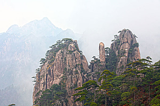 黄山,奇石,云海,壮观,名胜,风景,0071