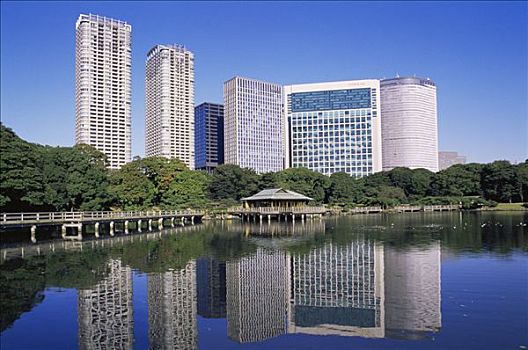 日本,东京,哈马,日式庭园,汐留,区域,天际线