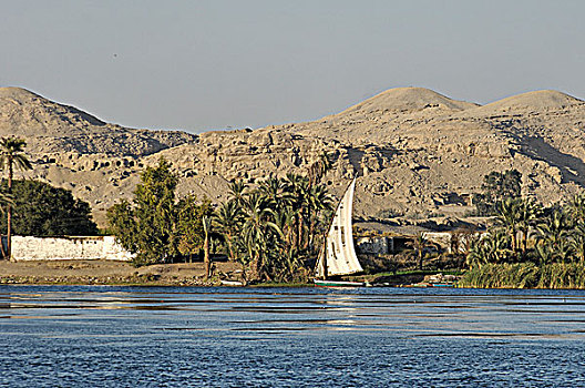 埃及,尼罗河,河,阿斯旺,路克索神庙