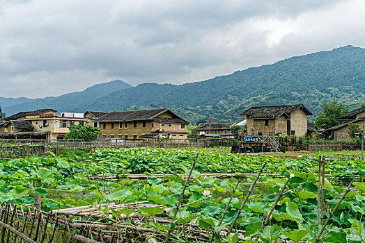 福建漳州南靖土楼风光