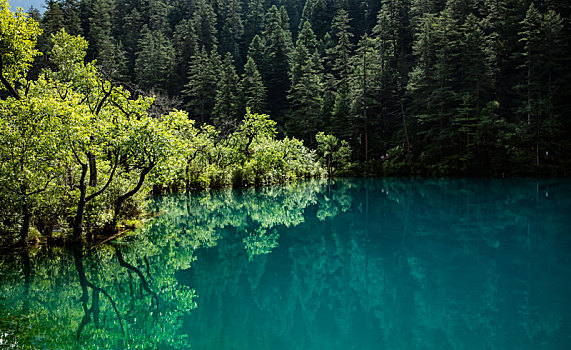 九寨沟美景