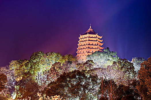 杭州西湖雷峰塔夜景