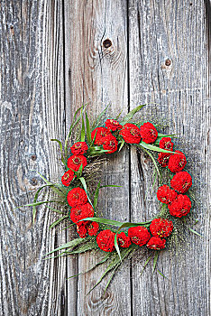 花环,红色,百日菊,木板墙
