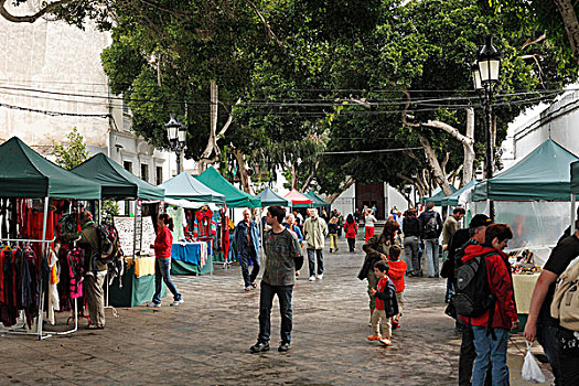 市场,广场,树,阿利亚,兰索罗特岛,加纳利群岛,西班牙,欧洲