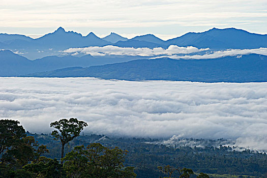 新几内亚山脉图片