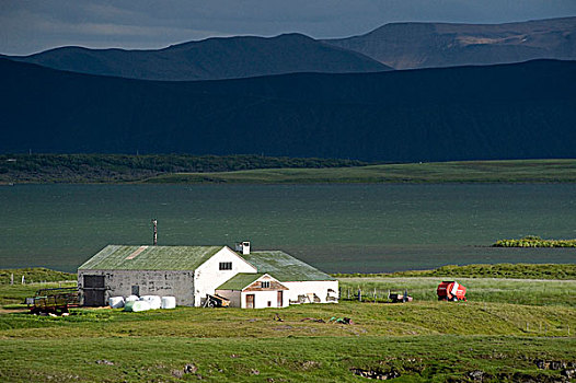 农场,米湖,冰岛,欧洲