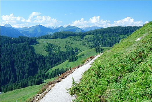 阿尔卑斯山,奥地利