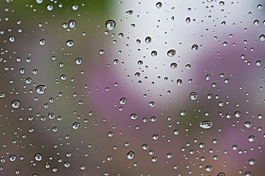 雨滴,窗户