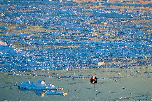 破冰船,冰,湾,迪斯科湾,格陵兰
