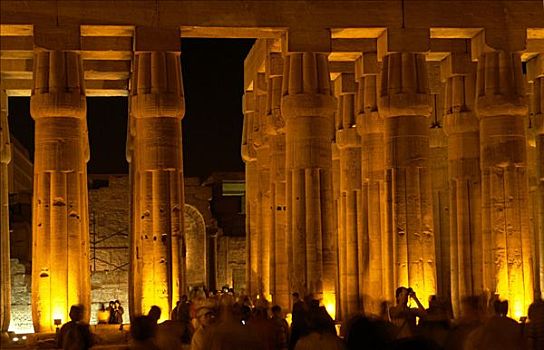 路克索神庙,尼罗河,埃及,庙宇,植物