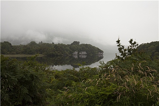 风景,国家公园