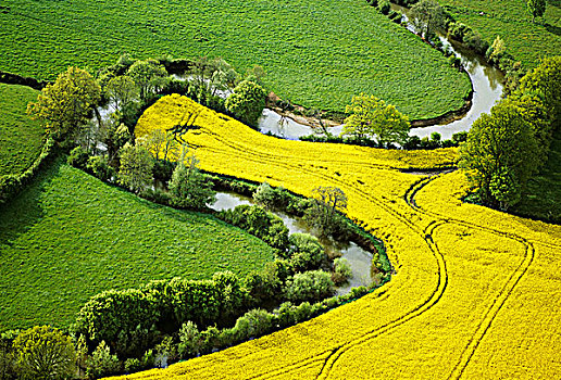 法国,勃艮第,风景,航拍