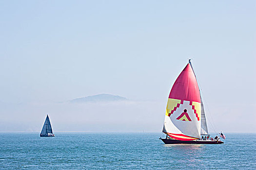 帆船,湾,旧金山,加利福尼亚,美国,北美