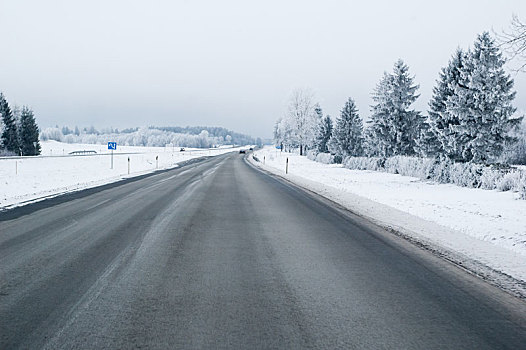 公路,冬天,树,遮盖,白霜