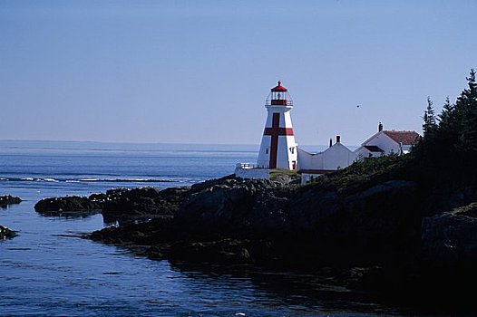 灯塔,海岸,头部,港口,新布兰斯维克,加拿大