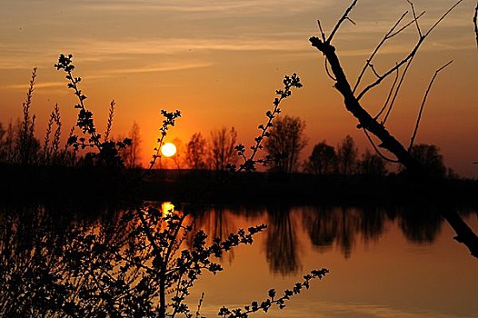 湖,日落,德国
