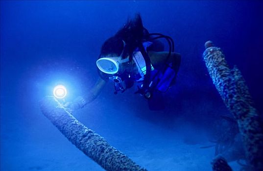 潜水,泛光灯,加勒比海