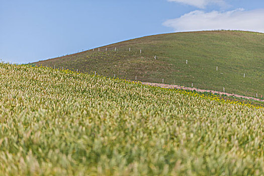 青海祁连县卓尔山美景