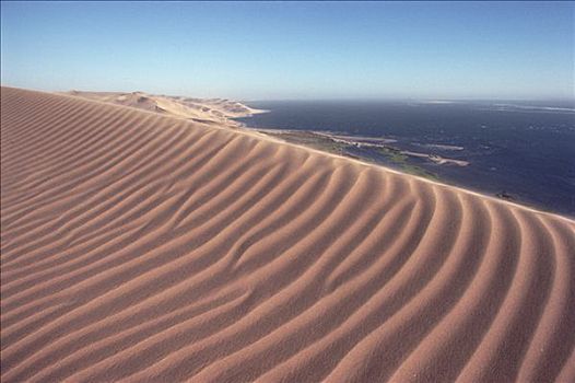 波纹,图案,沙丘,纳米布沙漠,大西洋,纳米比亚