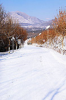 白雪覆盖的马路