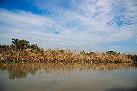 中国最美湿地,浙江省湖州市德清县下渚湖