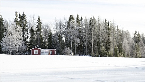 传统,瑞典,屋舍,冬天