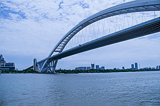 卢浦大桥,南浦大桥