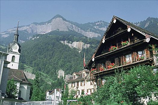 仰视,房子,乡村,瑞士