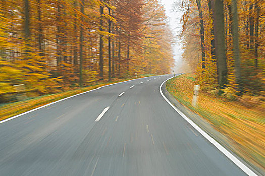 道路,风景,景色,路线,秋日树林,施佩萨特,弗兰克尼亚,巴伐利亚,德国
