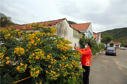 山东省日照市,昔日小山村蝶变美丽乡村打卡地