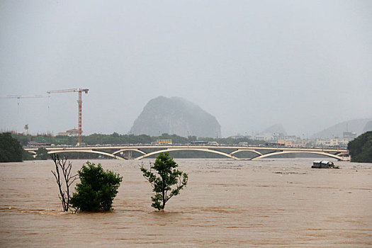 桂林连降暴雨,漓江洪水,河水淹上河岸,江水浑浊