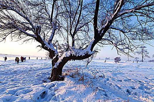 雾凇岛,冰雪,自然风光,吉林,龙潭区