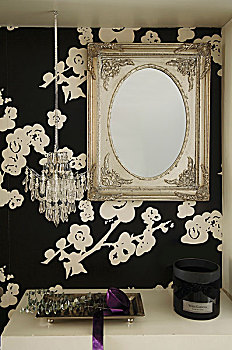 老式,镜子,微型,吊灯,高处,架子,衣帽间,花,黑白,壁纸