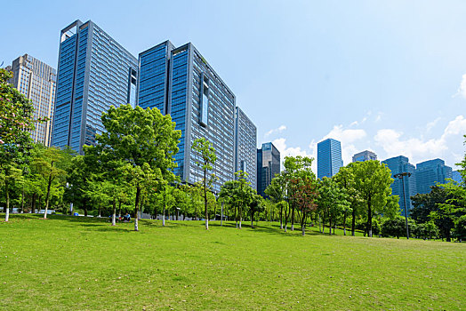 重庆江北嘴中央公园草坪和摩天大楼