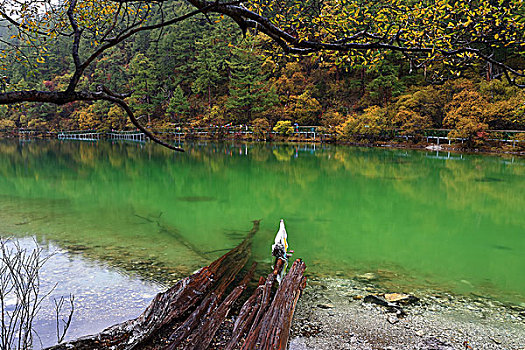 四川亚丁风景区珍珠海