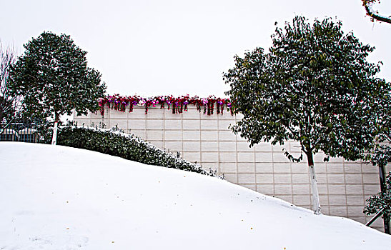 城市雪景