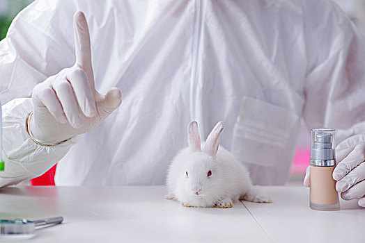 科学家,动物,实验,实验室,兔子