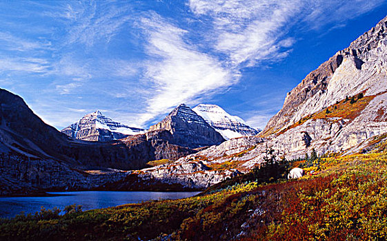 娱乐休闲区,彩色,落基山脉,不列颠哥伦比亚省,加拿大