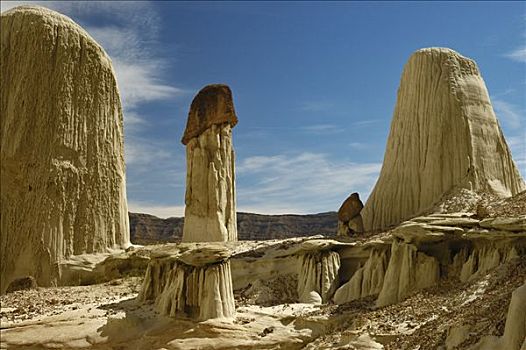 仙人烟囱岩,大阶梯-埃斯卡兰特国家保护区,犹他,美国