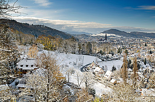 冬天,全景,布赖施高,巴登符腾堡,德国,欧洲