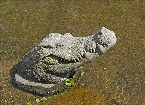 鳄鱼,雕塑
