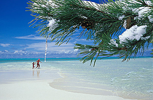 女人,女儿,玩,完美,白沙滩,松树,树枝,滴下,冰柱,前景,数码合成,塔希提岛,法属玻利尼西亚,茉莉亚岛