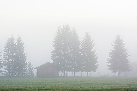 木屋,晨雾,陆地,上巴伐利亚,巴伐利亚,德国