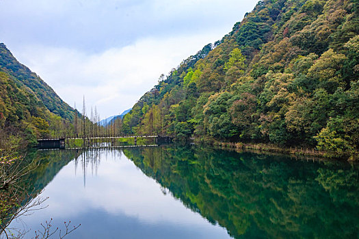 映天池,山水,水池,树林,亭,索桥,生态