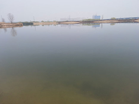 湖泊,渭河湿地,自然风光,湿地公园河流,西安渭河生态区,渭河河堤公园河流与,河畔风光,城市建筑,灞渭湿地,渭河,城市景观,杨凌渭河湿地公园