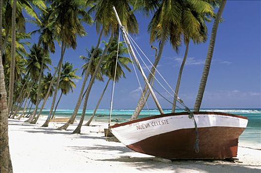 多米尼加共和国,绍纳岛,小,船,海滩