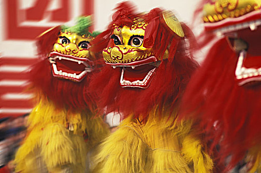 狮子,舞蹈表演,庆贺,春节,中国